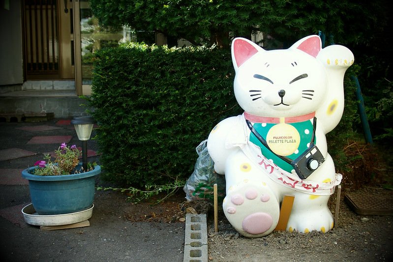 Maneki Neko: el gato de la suerte de Japón