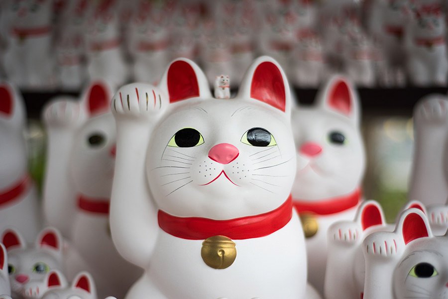 Maneki Neko: el gato de la suerte de Japón